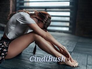 CindiBush