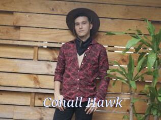 Conall_Hawk