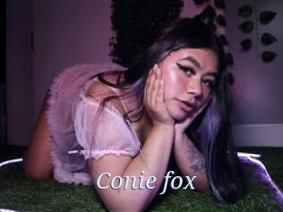 Conie_fox