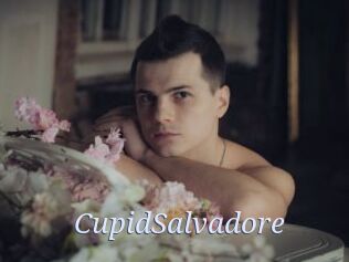 CupidSalvadore