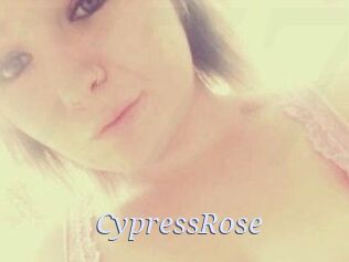 Cypress_Rose