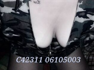 C42311-06105003