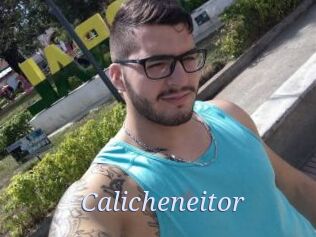 Calicheneitor