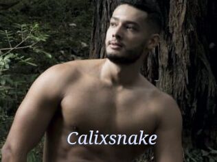 Calixsnake