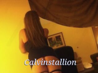 Calvinstallion
