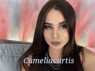 Cameliacurtis