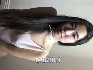 Camini