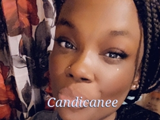 Candicanee