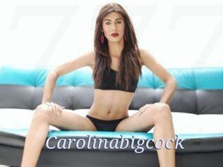 Carolinabigcock