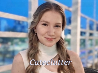 Cateclutter