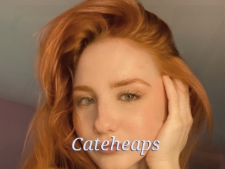 Cateheaps