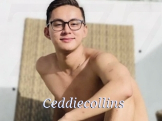 ceddiecollins 777 Erotik Chat
