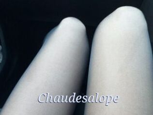 Chaudesalope