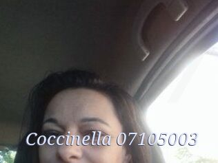 Coccinella-07105003