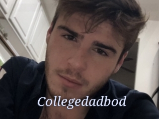 Collegedadbod