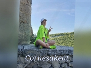 Cornesakeat