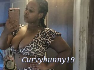 Curvybunny19