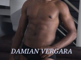 DAMIAN_VERGARA