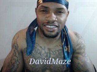 David_Maze