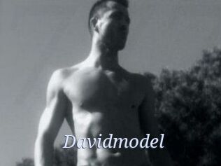 Davidmodel