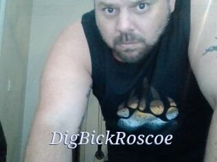 DigBickRoscoe