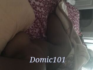 Domic101