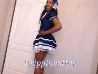 Drippincattyy
