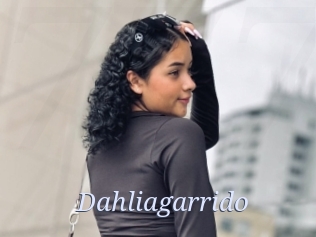 Dahliagarrido