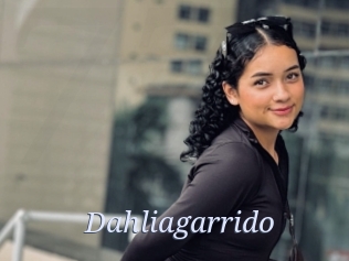 Dahliagarrido