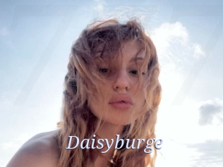 Daisyburge