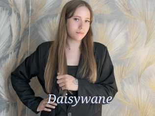 Daisywane