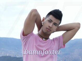 Damnfoxter