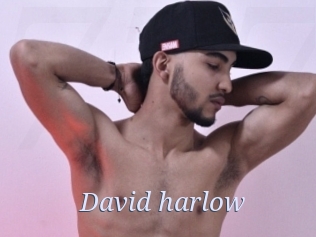 david_harlow 777 Erotik Chat
