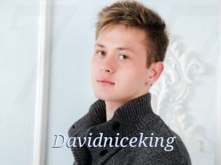 Davidniceking
