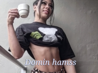 Domin_hamss
