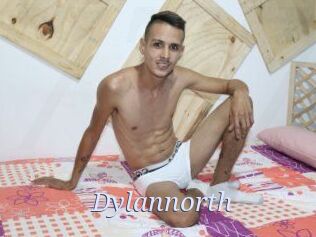 Dylan_north