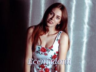 eceniadomi 777 Erotik Chat