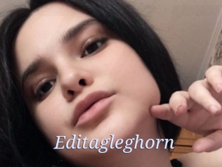 Editagleghorn