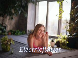 Electricflower