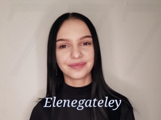 Elenegateley