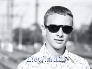 Elephant25