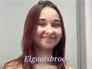 Elgaalsbrook