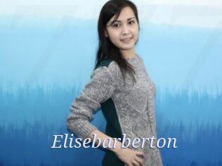 Elisebarberton