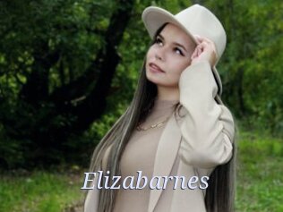 Elizabarnes