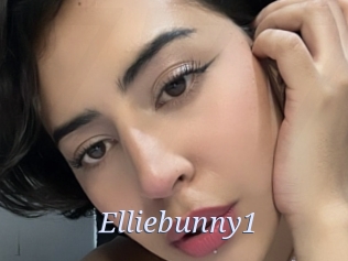 Elliebunny1
