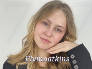 Elvinaatkins