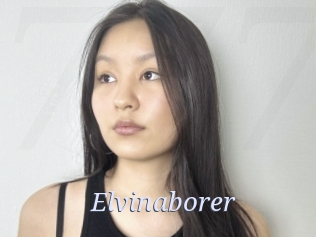 Elvinaborer