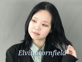 Elvinacornfield