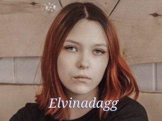 Elvinadagg