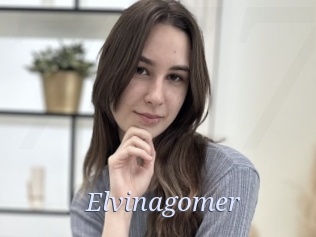 Elvinagomer